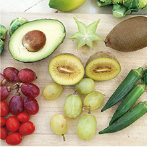 成分・原料を厳選