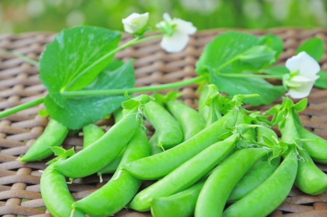 美肌に役立つ春野菜