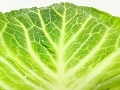 甘くておいしい旬野菜「春キャベツ」の栄養