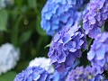 【梅雨むくみ対策】体の“水はけ”を整えスッキリボディへ